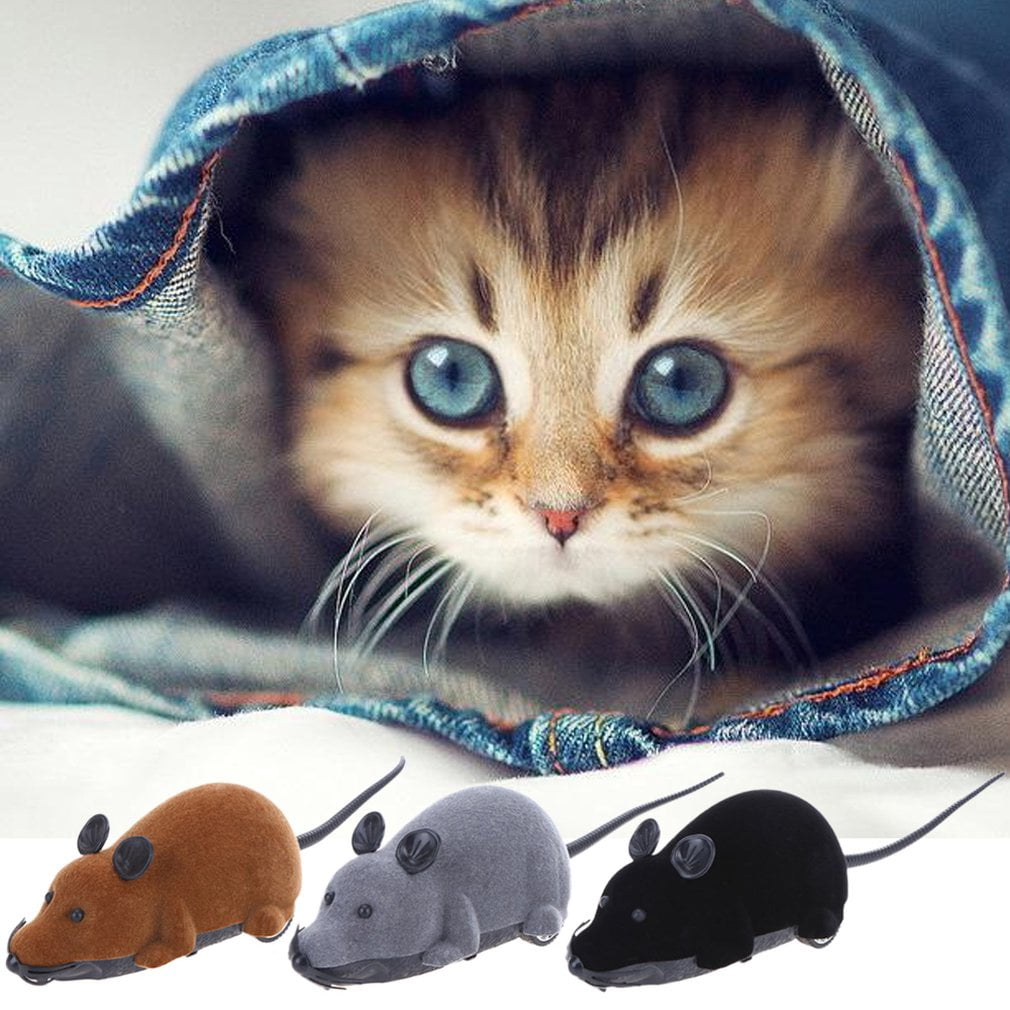 rc mouse cat toy