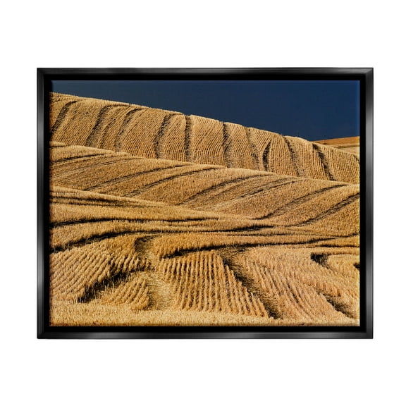 Stupell Industries Wavy Cornfield Lines Vast Rural Field Photograph Jet Black Floating Framed Canvas Print Wall Art, Design by David Lorenz