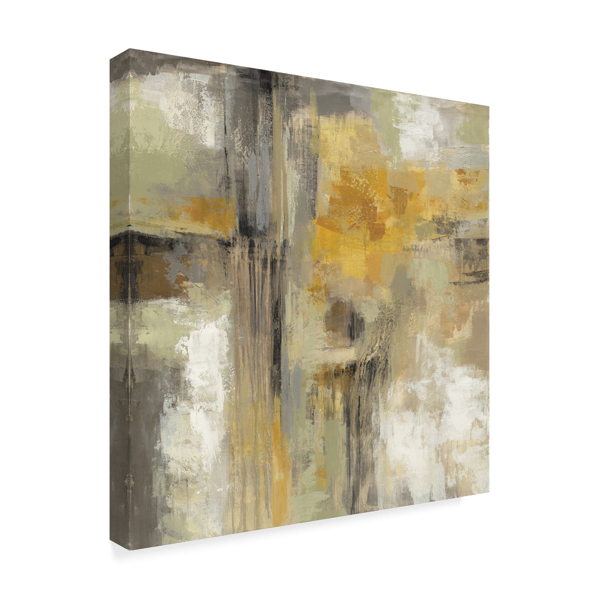 Trademark Fine Art 'Sun and Rain' Canvas Art by Silvia Vassileva