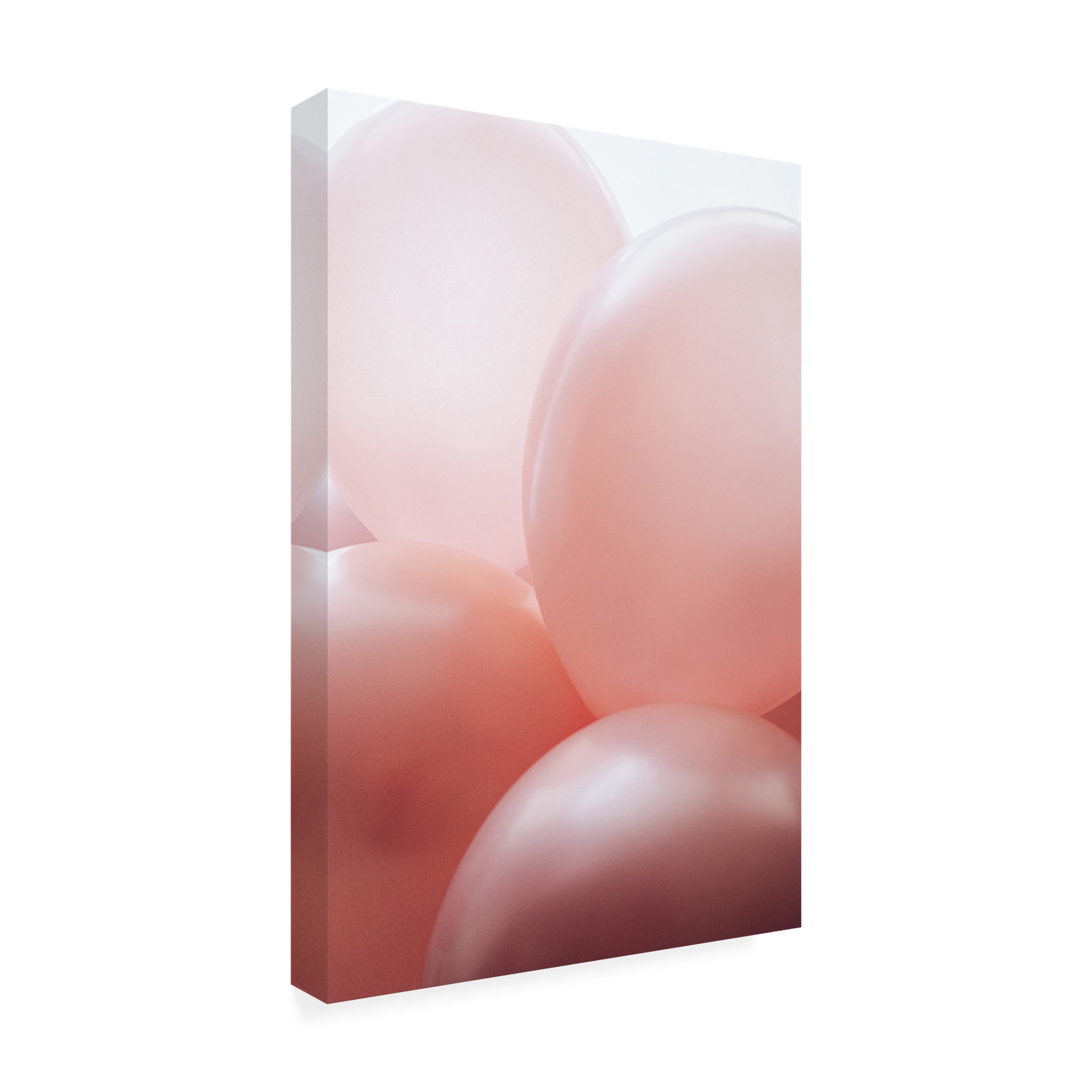 Trademark Fine Art uplusmestudio Rosy Balloons Canvas Wall Art