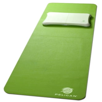 Wii Fit Starter Kit
