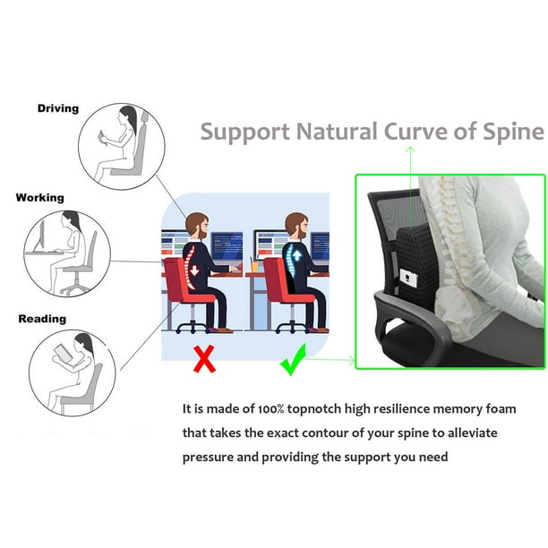 Lower best sale lumbar cushion