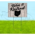 thumbnail image 1 of Born & Raised Ohio (18" x 24") Yard Sign, Includes Metal Step Stake, 1 of 6