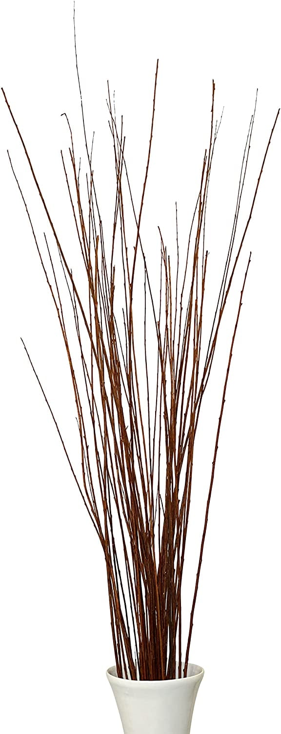 Green Floral Craft | 60-70 Dried Stem Feet Vase (Light Decorative Branches Filler Tall Floor Asian Mahogany) Willow 3-4