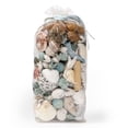 thumbnail image 2 of Popurrí ANDALUCA Ocean Plumes, con aroma a conchas marinas, bolsa de 600 ml, 2 of 7