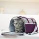 thumbnail image 1 of Bolsa plegable para mascotas | Bolsa de viaje portátil de mano para gatos y animales pequeños | Paño transpirable | Ligereza | Fácil almacenamiento | 18,5 x 10,23 x 10,23 pulgadas | 1 paquete |, 1 of 6