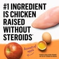 thumbnail image 4 of Purina Beyond Grain Free, Natural Dry Dog Food, Grain Free White Meat Chicken & Egg Recipe, 13 lb. Bag, 4 of 11