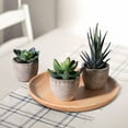 thumbnail image 7 of NICEXMAS Artificial Plant Multicolor Desktop Decoration for Home and Office 1Pc, 7 of 7