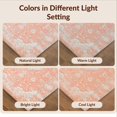 thumbnail image 7 of Design&I 2'x3' Ultra Soft Door Mat, Bordered Vintage Medallion With Boho Floral Distressed Scroll Frame None Fluffy Washable Easy Care Indoor rug for Bedside Entryway, 7 of 7