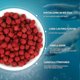 thumbnail image 5 of 3pcs Gudaoxiang Xiandan Lazy Granular Bait - Fresh Wet Bait For Wild Fishing For Crucian Carp, Grass Carp, Bream And Freshwater Fish, 5 of 5