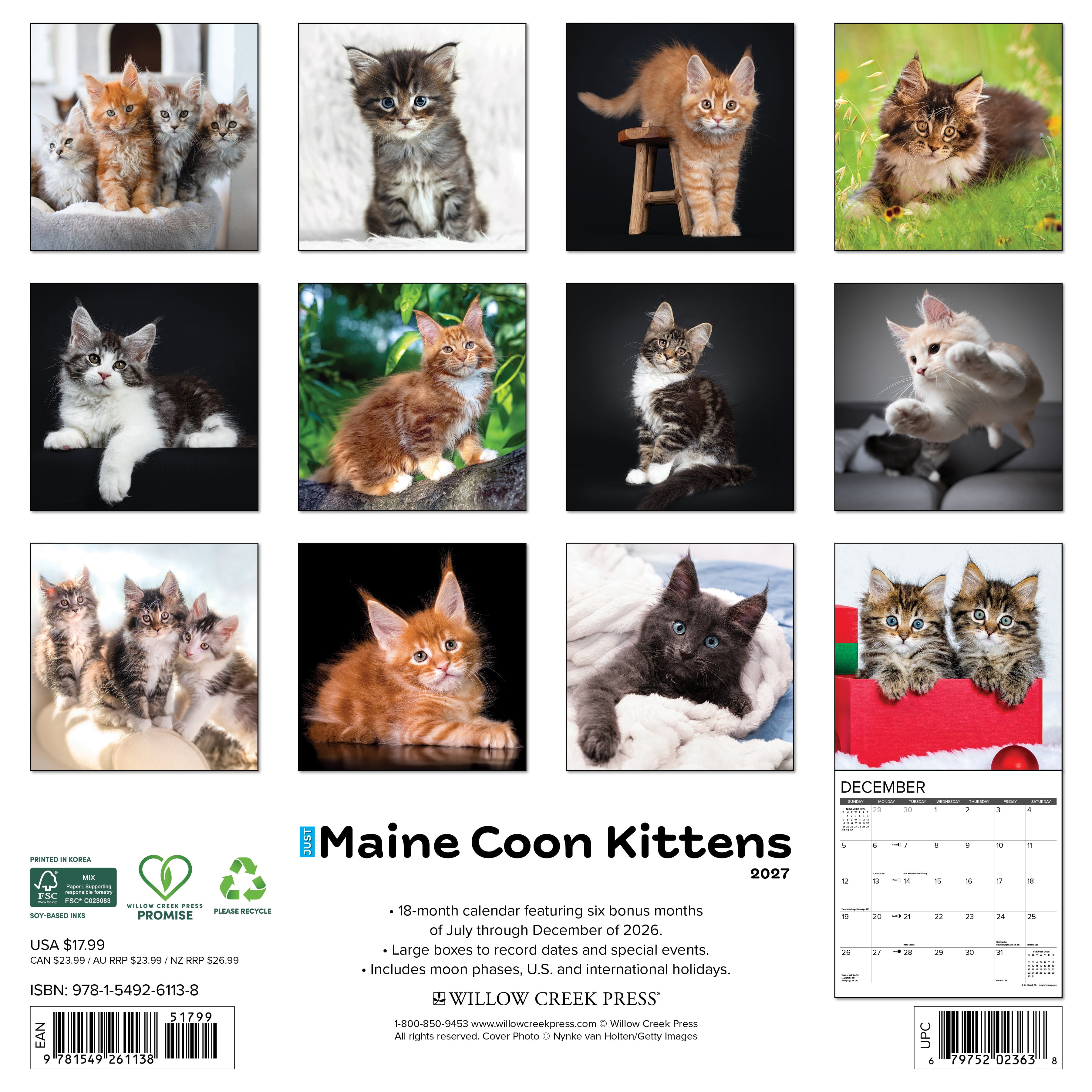 Willow Creek Press, Maine Coon Kittens 2027 Wall Calendar