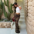 thumbnail image 5 of Women'S Leopard Maxi Skirt Mesh See Through Low Waist Y2K Bodycon Skirts Leopard XL, 5 of 9
