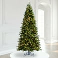 thumbnail image 6 of Vickerman 7.5' x 46" Flocked Jackson Pine Artificial Pre-Lit Christmas Tree, Warm White Lights., 6 of 6
