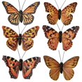 thumbnail image 1 of Conjunto de 12 Adornos de Mariposas 3D con Plumas Berfutall de 9 cm, 1 of 6