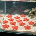 thumbnail image 6 of 10 Pack Resin Star Shape Aquarium Ornament Visible in Dark, Glow Luminous Fish Tank DIY Decorative Stones, Nocturnal Bright Substrate Accent for Betta Shrimp Tank Aquascaping Night Scenery, 6 of 8