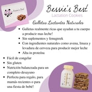 Bessie’s Best Lactation Cookies - 1 Dozen - Oatmeal Peanut Butter Chocolate Chip - Lactation Support & Breast Milk Boosting Lactation Snacks
