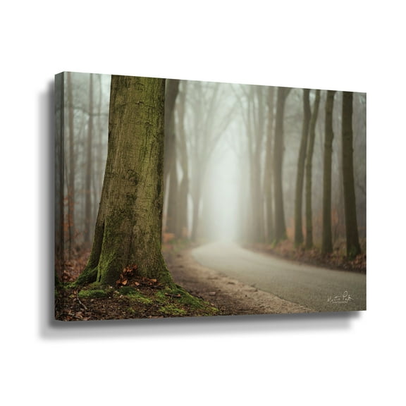Artwall Focus on What you Want, Gallery Wrapped Canvas by Martin Podt