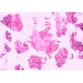thumbnail image 1 of Ahgly Company Indoor Rectangle Abstract Pink Modern Area Rugs, 8' x 12', 1 of 4
