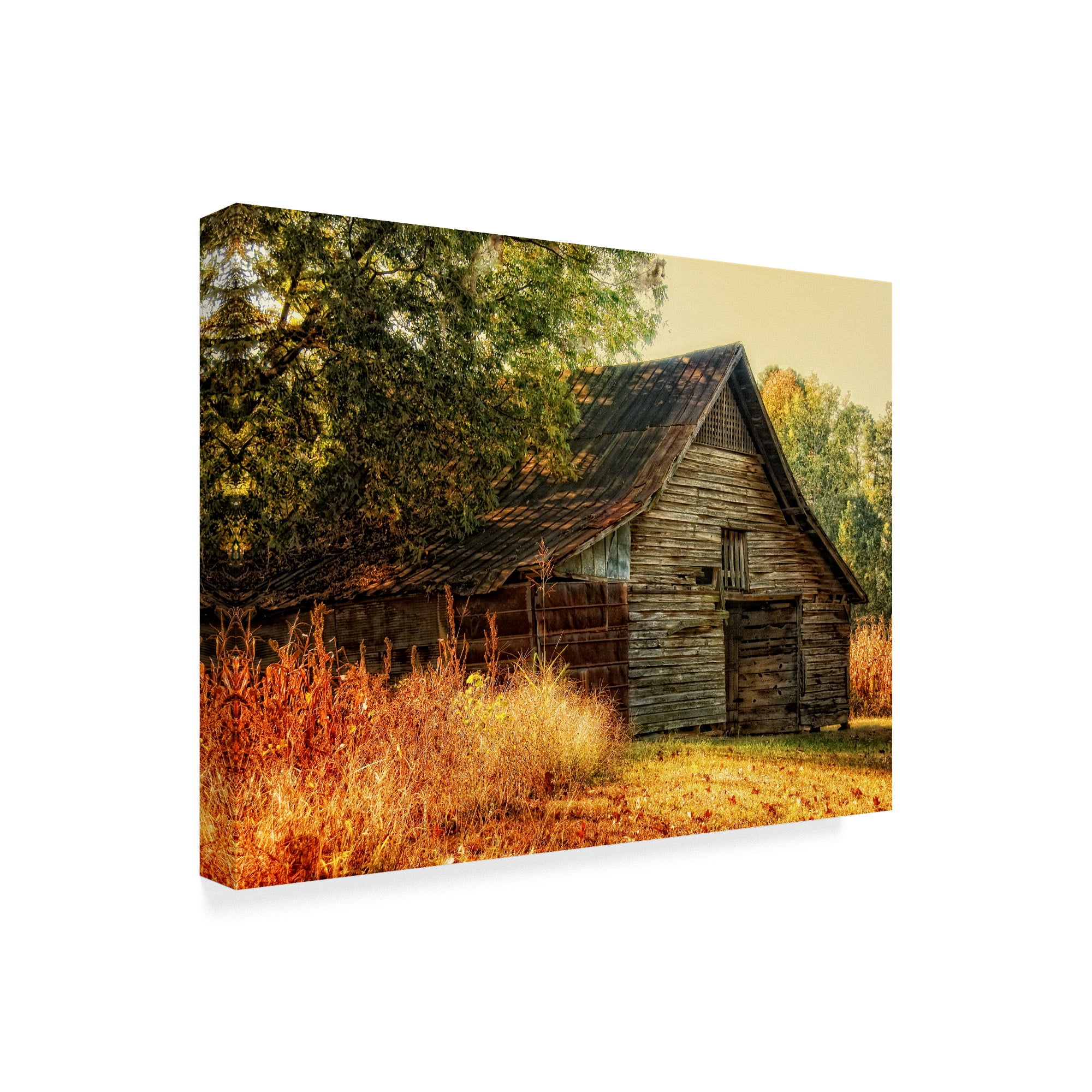 Trademark Fine Art 'Barn Loft Memories' Canvas Art by Danny Head
