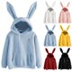 thumbnail image 1 of [Yue Xinghui] Sudadera De Conejo De Lana Suelta Con Capucha Informal De Propiedad Intelectual Sin Procesar Rosa L ANGGREK Otros, 1 of 3