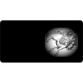 thumbnail image 1 of Offset Pegasus Photo License Plate, 1 of 1
