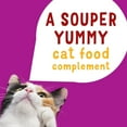 thumbnail image 2 of Purina Friskies Lil' Soups with Shrimp in a Velvety Chicken Broth, Cat Treats 34g, 2 of 9