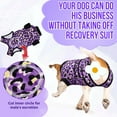 thumbnail image 4 of AUTOWT Recovery Suit for Dogs, Zipper Onesie for Male & Female Dogs, Abdominal Wound & Licking Prevention, Cone E-Collar Alternative, 4 of 7