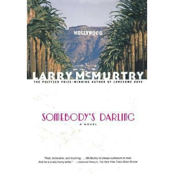 Pre-Owned Somebody's Darling (Paperback) 0684853892 9780684853895