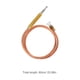thumbnail image 2 of AURARMLET Universal Dorado Para Calentador De Gas Con Sensor De Y Calentamiento, 2 of 7