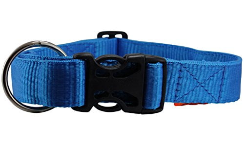 Xlarge dog collar Outlet