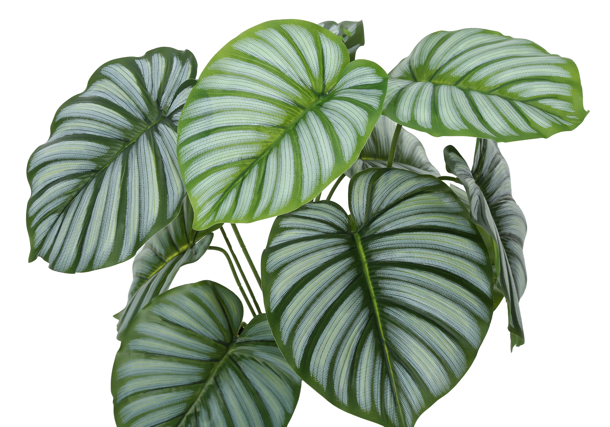 Artificial Plants Artificial Plant, 24" Tall, Calathea, Indoor, Faux, Fake, Table, Greenery, Potted, Real Touch, Decorative, Green Leaves, Black Pot,Flower Arrangements