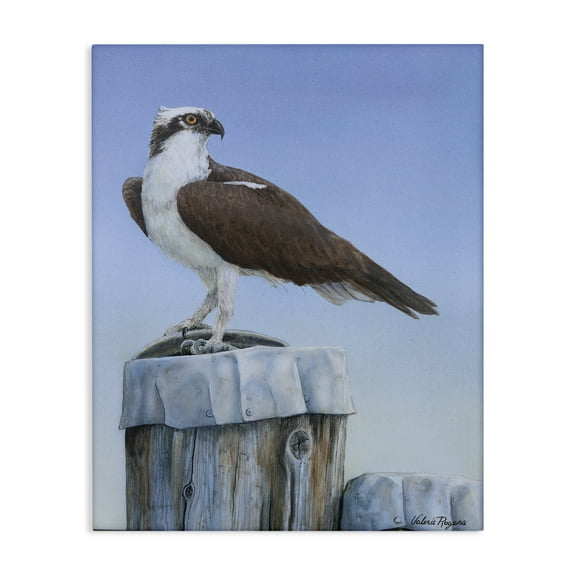 Stupell Industries Harbor Master Bird Perched Animals Painting Wrapped Canvas Art Print Wall Art, 16 x 20