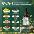 thumbnail image 4 of (2 Pack)Mullein Leaf Extract Drops, Mullein Leaf Extract Supplement for Immune Support,Detox & Respiratory Health Support, 2 Oz, 4 of 5