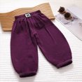 thumbnail image 2 of KPOPLK Toddler Girls Long Harem Pants 9 Months- 15 Years Cotton Linen Baby Baggy Trousers Bloomers Purple Size 3-4 Years, 2 of 4