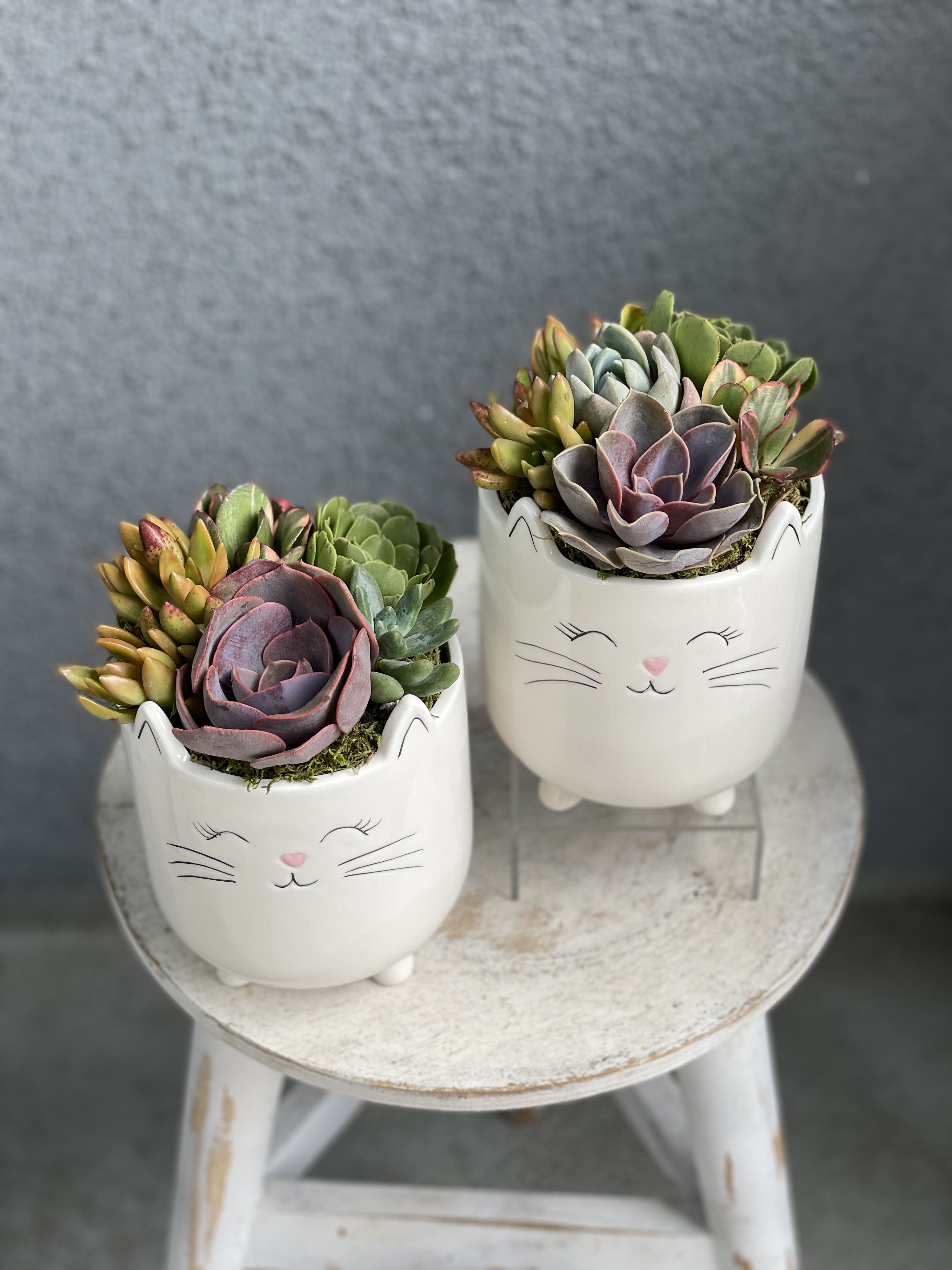 SparkDazzle 5'' x 6'' Round White Ceramics Cat Planter Pot for Succulents
