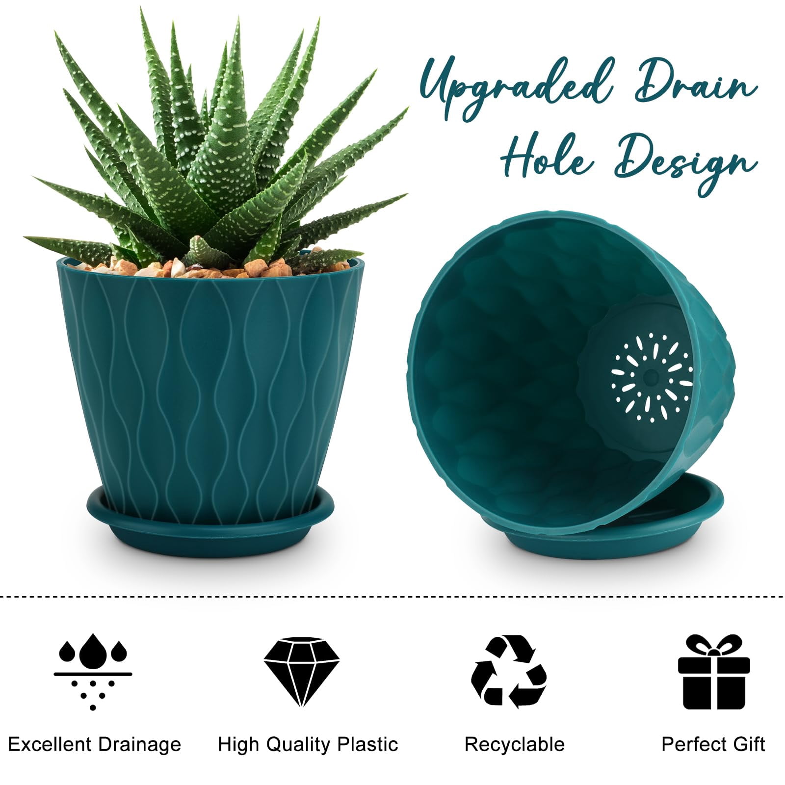 Plant Pots