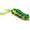 Green, variant on Margarita Popper Phrog - hollow body frog lure