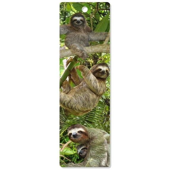 Sloths 3-D Bookmark, (Hardcover)