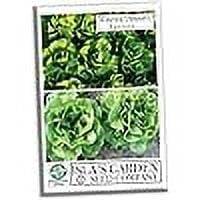 Winter Density Lettuce Seeds for Planting, 1000  Heirloom Seeds Per Packet Non GMO Seeds, Botanical Name Latuca Sativa, Great Home Garden Gift