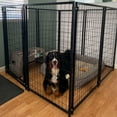 thumbnail image 2 of Luna Expandable Heavy-Duty Dog Kennel – 8 Panel – 5x5x4 ft, 2 of 8