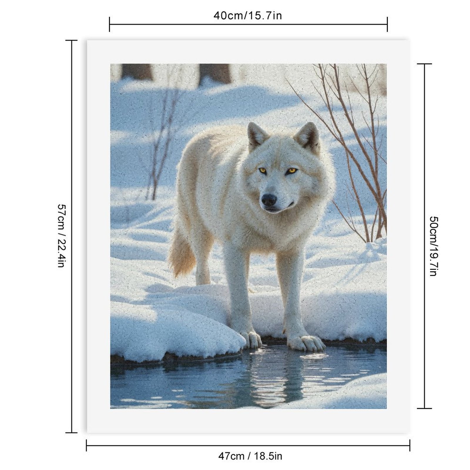 Paint by Numbers Kit for Adults, Wolf In Snowy Wilderness Paint by Numbers, Easy Paint by Numbers Kit for Adults Beginner, DIY Adult Paint by Number Kits on Canvas, Home Decor