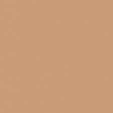 ريتش تان