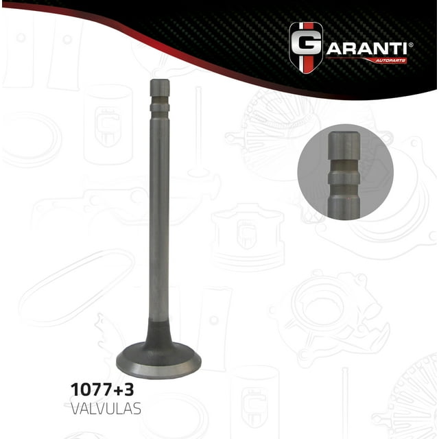 Valvula Escape Garanti Para Gmc I1000 1964 - 1966 (Garanti)