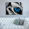 thumbnail image 4 of Epic Graffiti 'Tiger Eye' by Jan Henderson, Giclee Canvas Wall Art, 54"x40", 4 of 8
