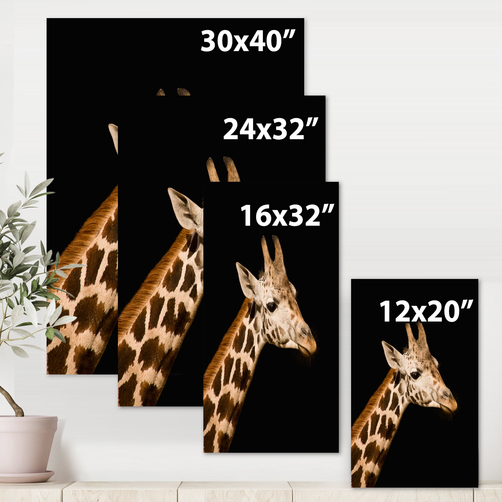 Designart ' Close Up Portrait Of A Giraffe On Black IV ' Farmhouse Canvas Wall Art Print