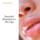 thumbnail image 5 of Tratamiento labial, hidratante y voluminizador LipSmart Ultra Hydrating, 5 of 8