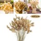 thumbnail image 1 of 30pcs-Cola hierba cola de perro grass-10pcs+20pcs Ormromra LL-2109, 1 of 6