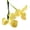 Yellow, variant on bestolf Artificial Iris Flower 2 Heads Faux Silk Flower Bouquet Long Stem Fake Iris Flowers for Floral Arrangements Table Centerpiece Party Wedding Decor