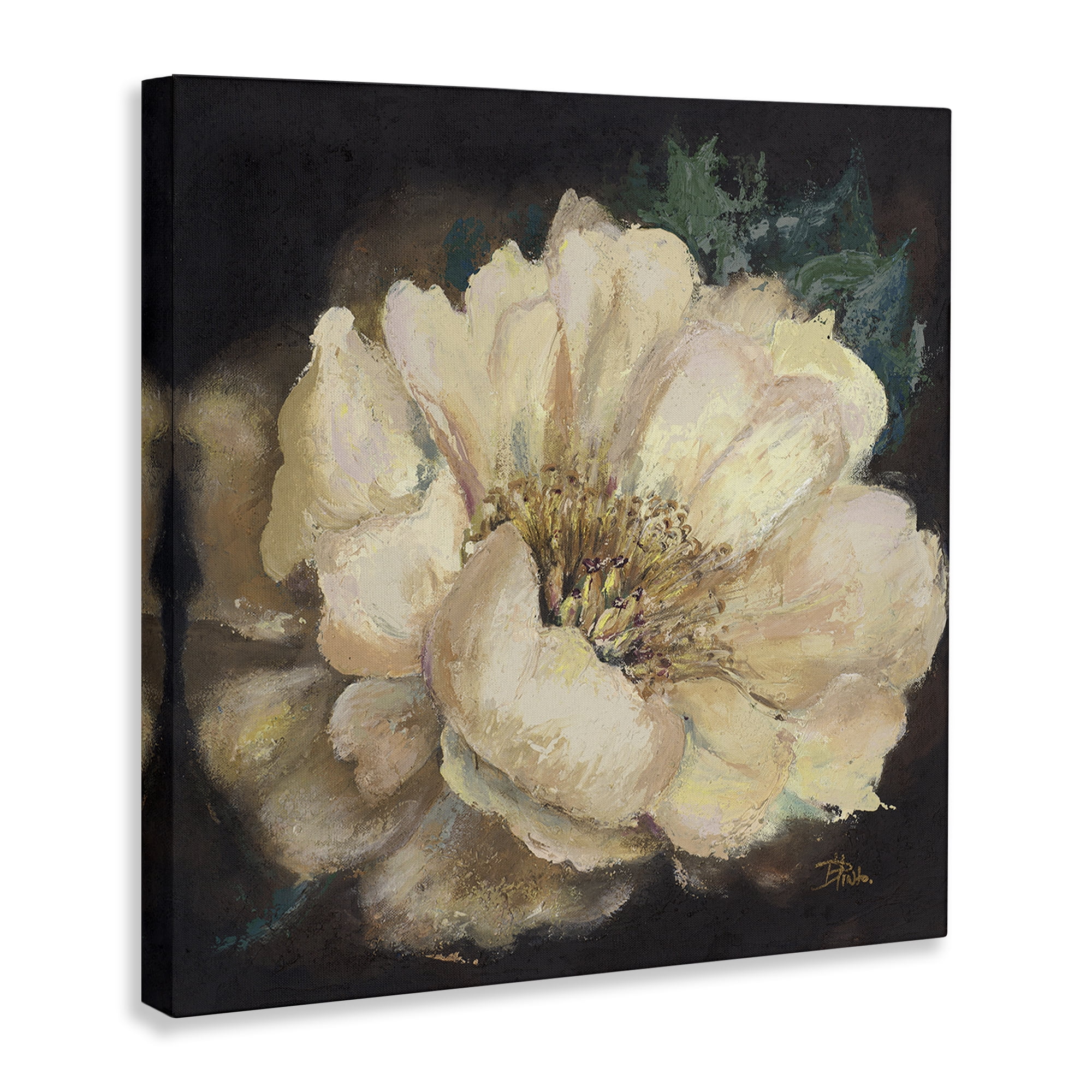 Stupell Industries Blooming White Magnolia Botanical & Floral Painting Gallery Wrapped Canvas Art Print Wall Art, 30 x 30
