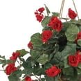 thumbnail image 7 of Pemberly Row Vibrant Begonia Blooms Hanging Basket in Red/Brown, 7 of 7